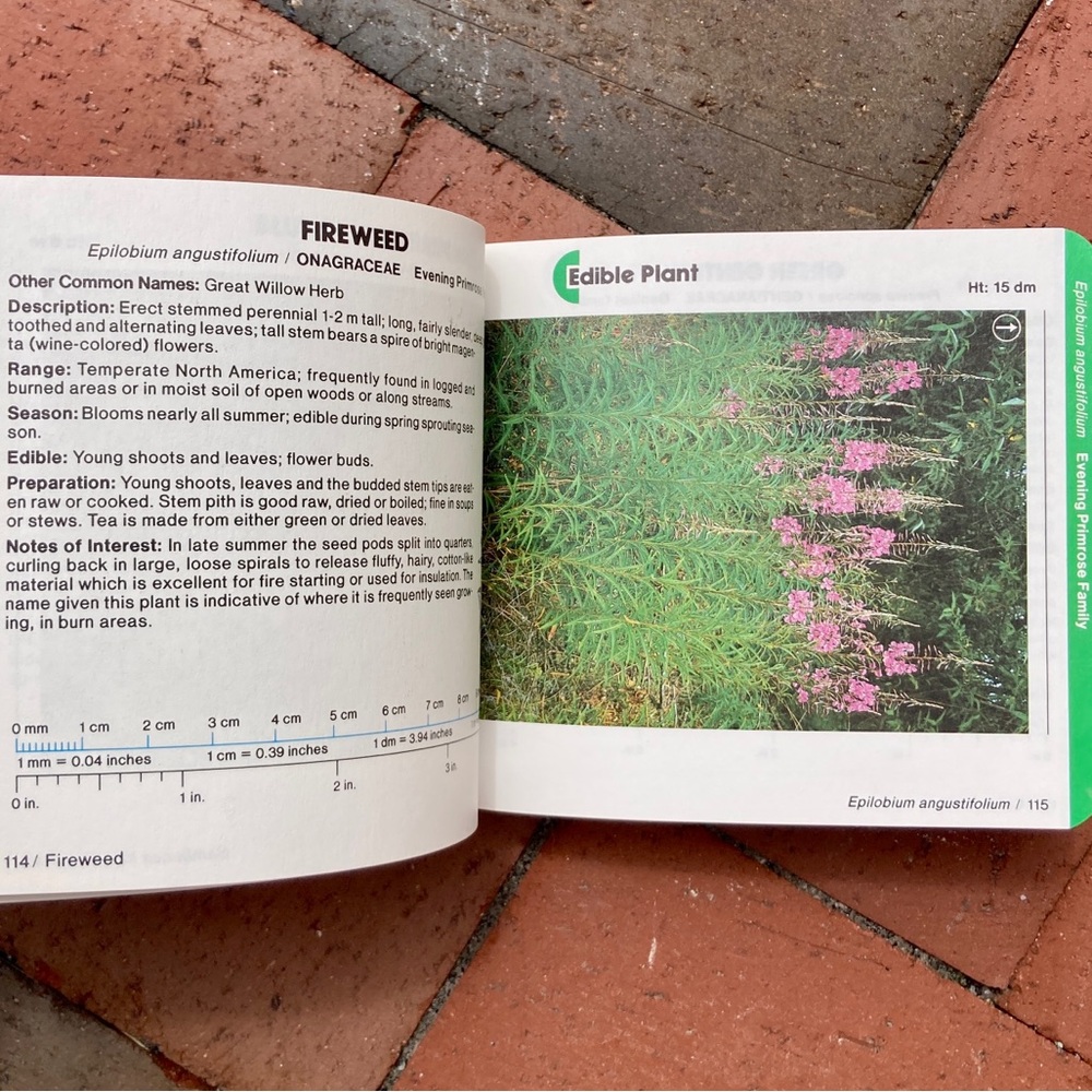 1985 Nature Bound Pocket Field Guide Edible Plant Identification Survival Guide - Picture 9 of 12